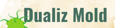 Dualiz Mold - Mold Services